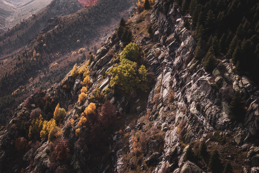 a winding road through a mountain