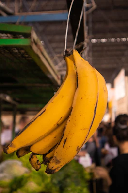 Bunches of bright yellow bananas hanging in a sunlit market stall.