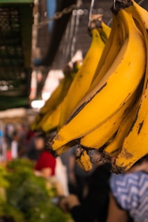 a bunch of bananas from a tree