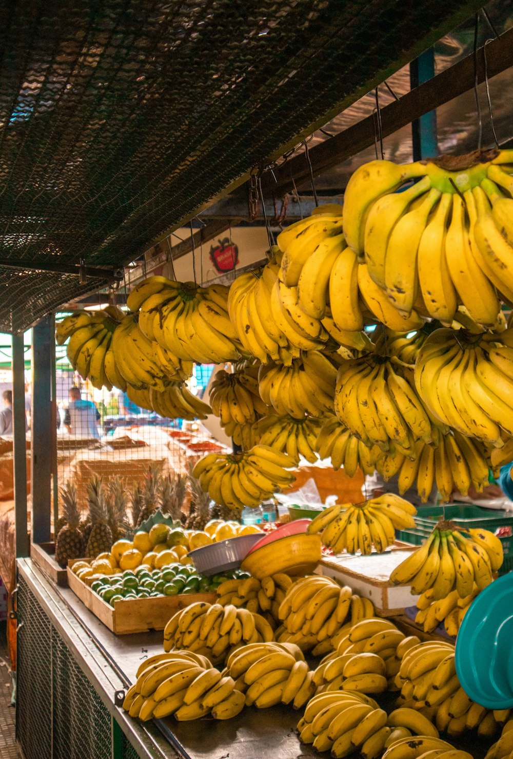 a bunch of bananas from a ceiling