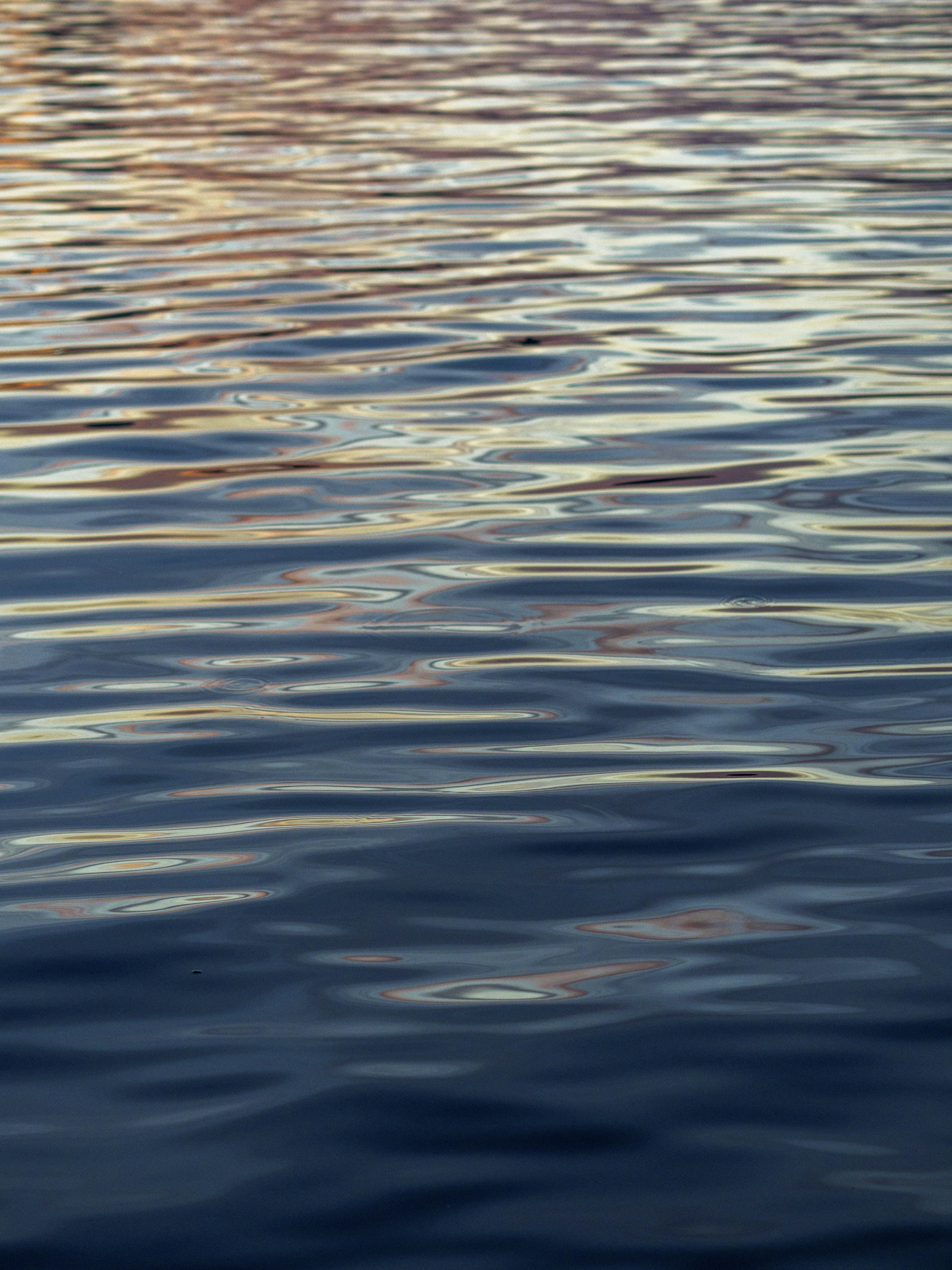 Photo by maxence_pira