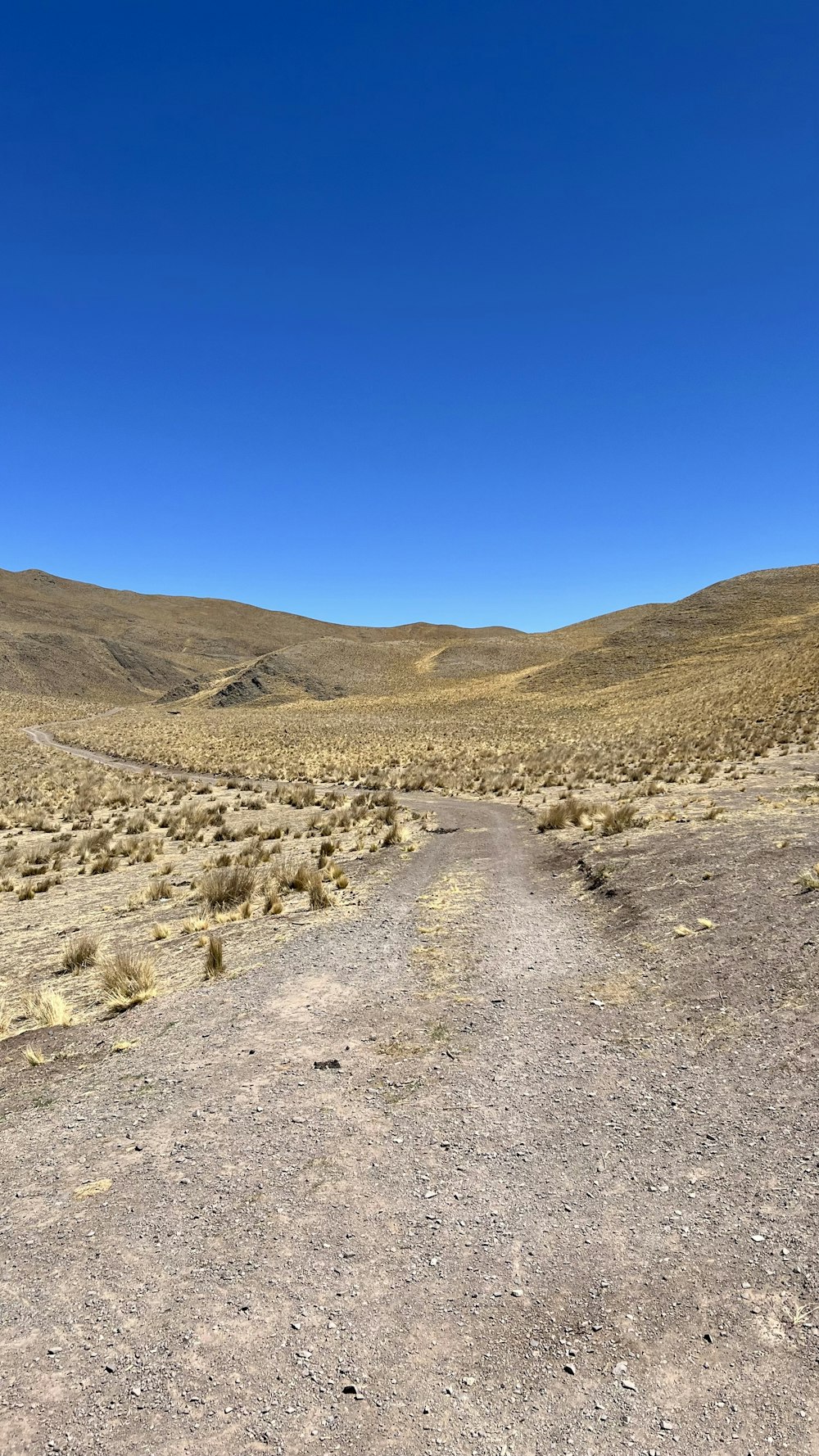 a desert landscape with hills