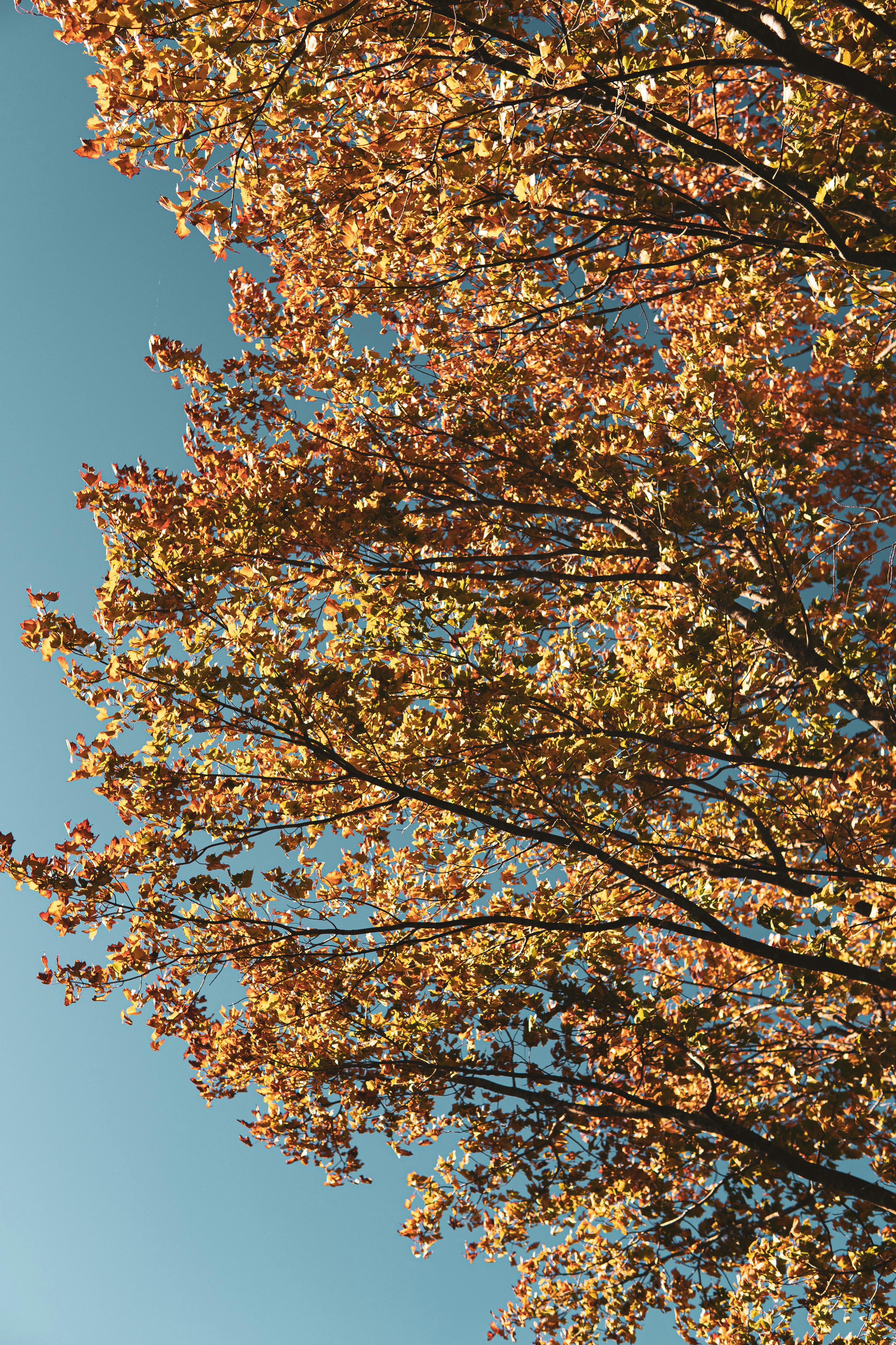 Photo by keepitchassephotography