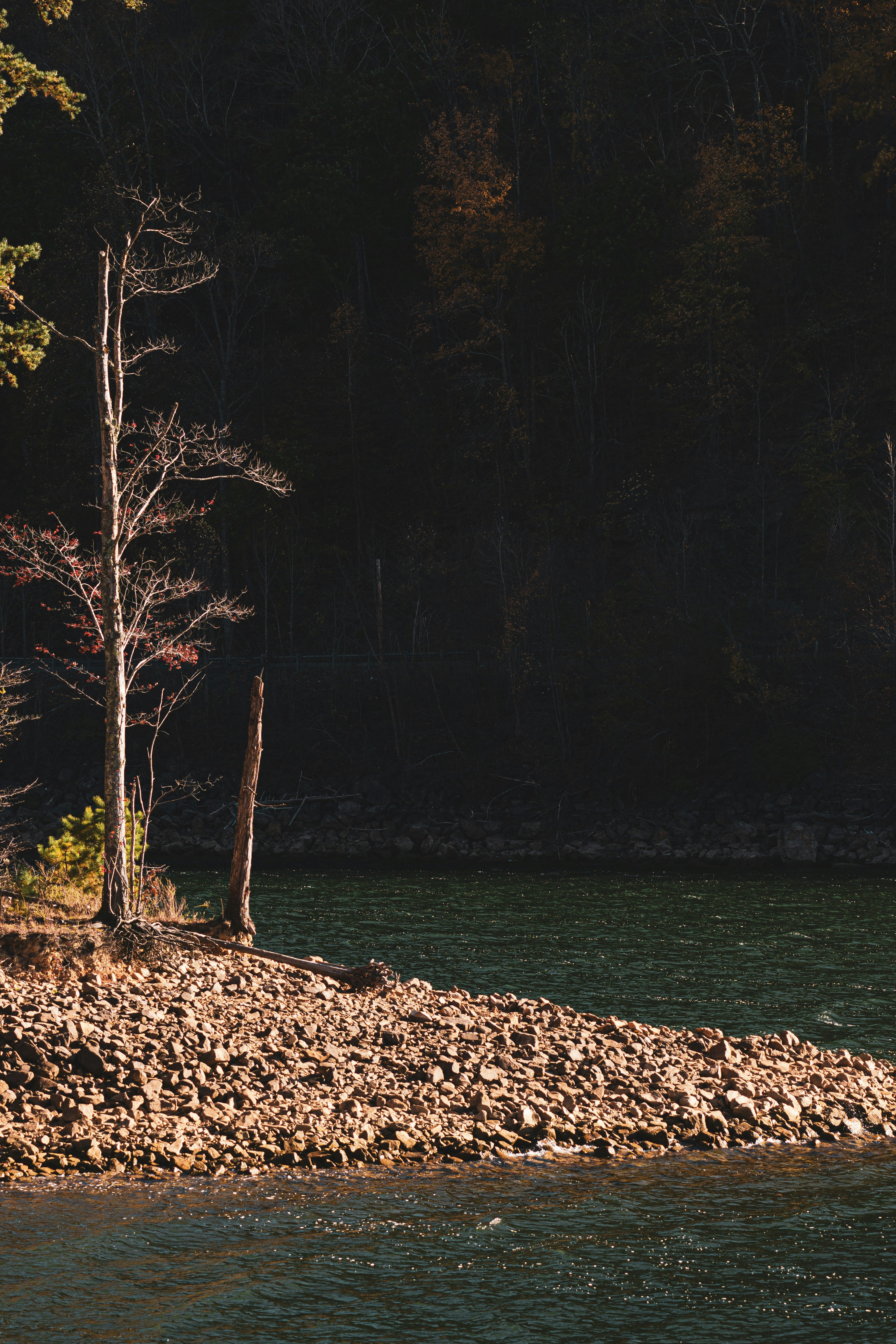 Photo by keepitchassephotography
