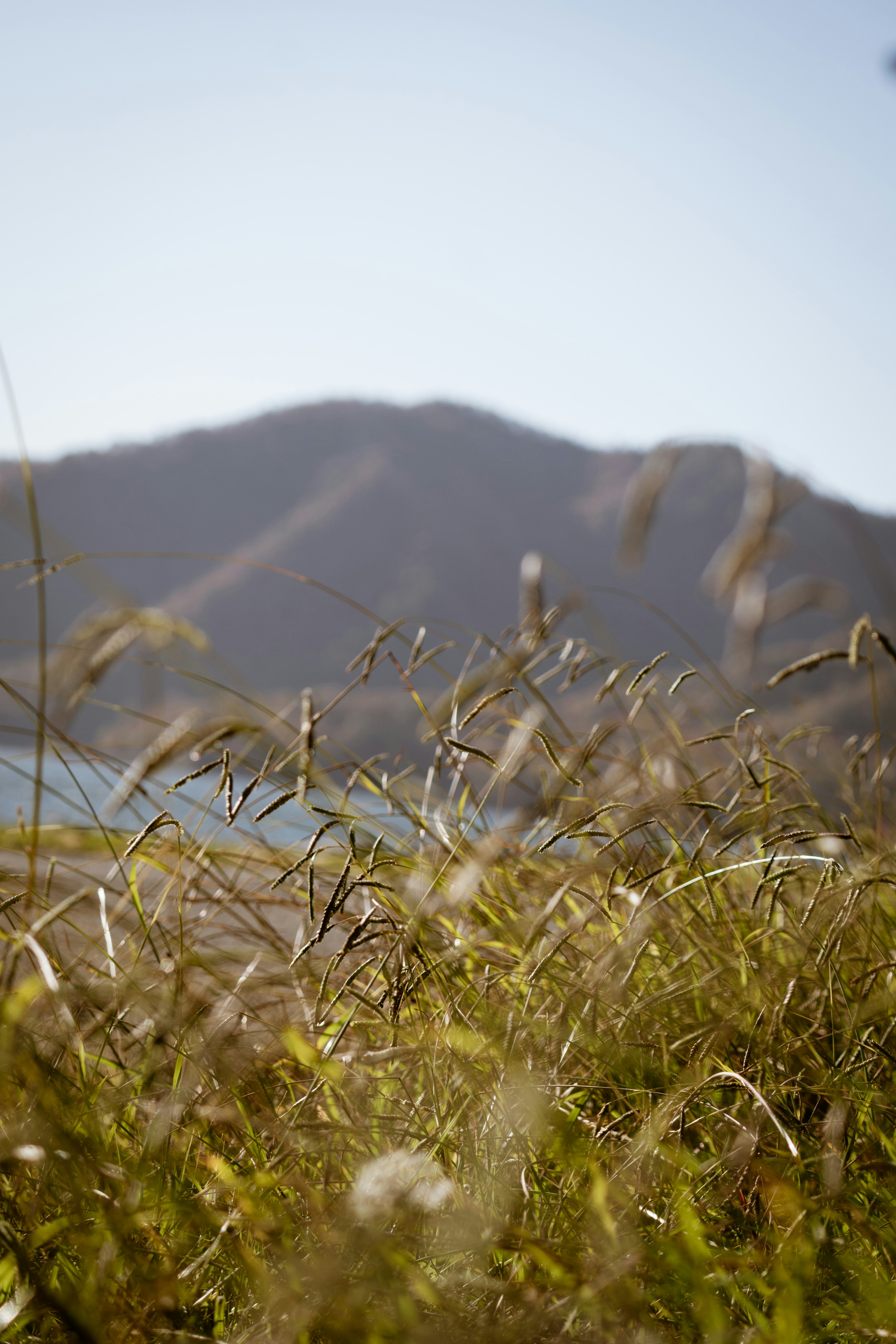 Photo by keepitchassephotography