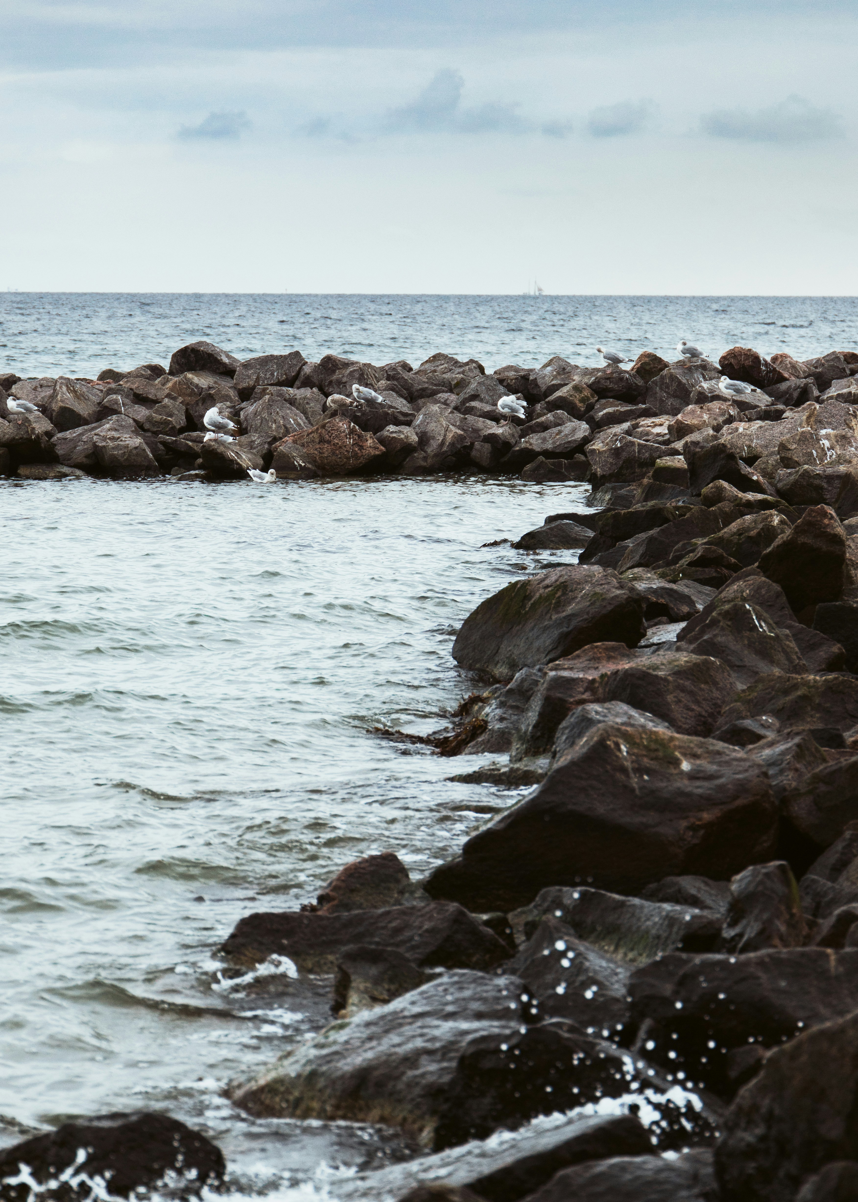 Photo by katharina_bill