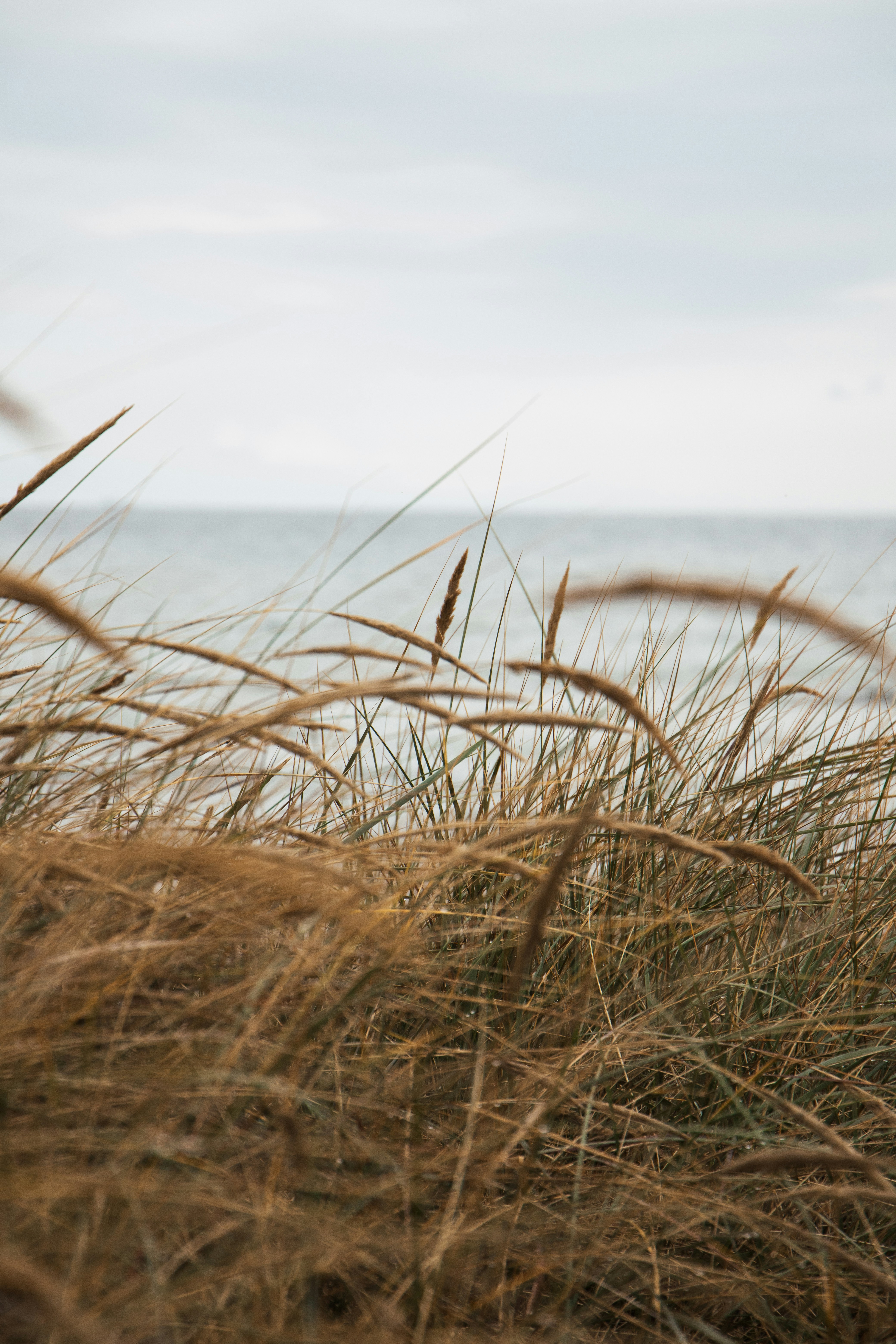 Photo by katharina_bill