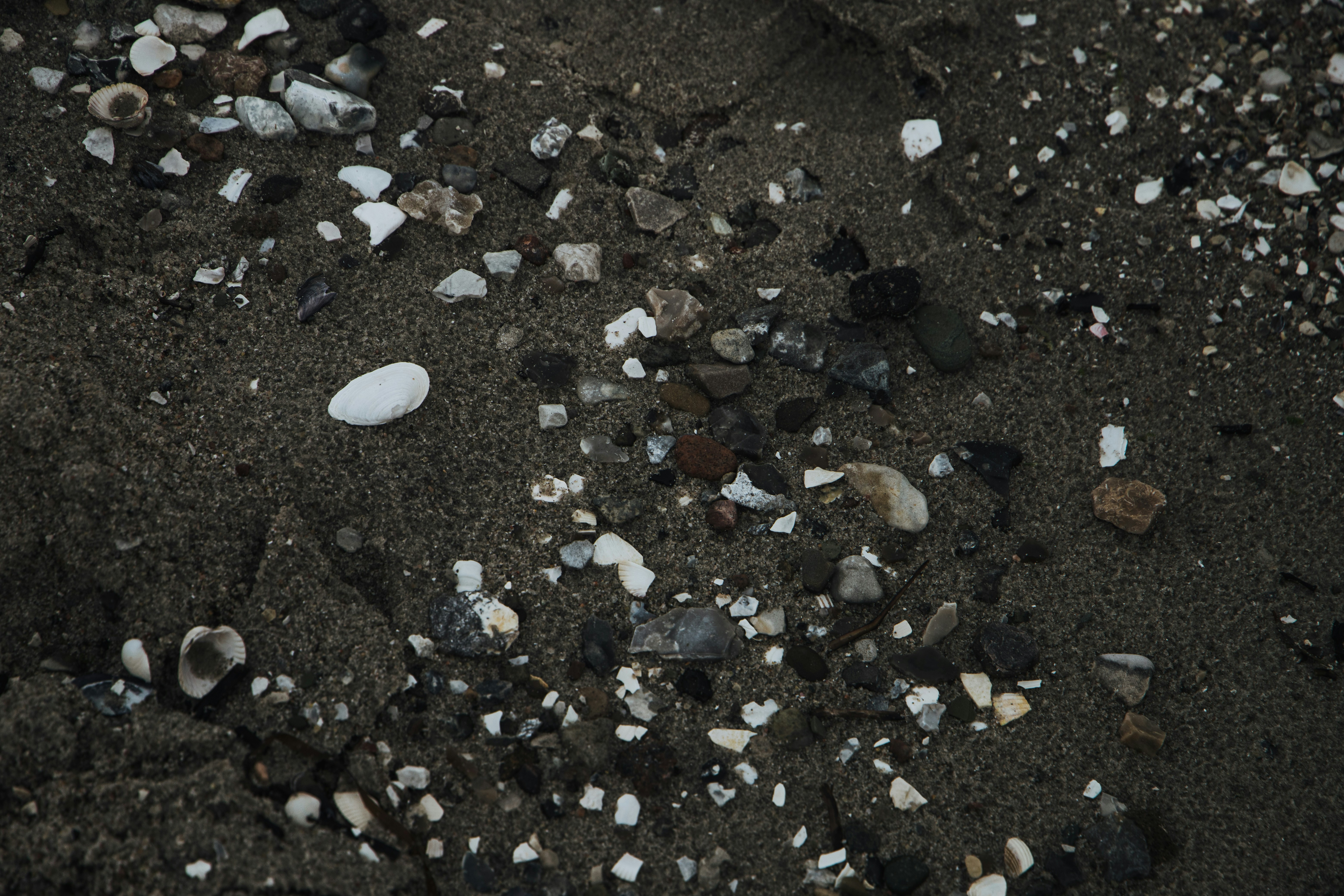 Photo by katharina_bill