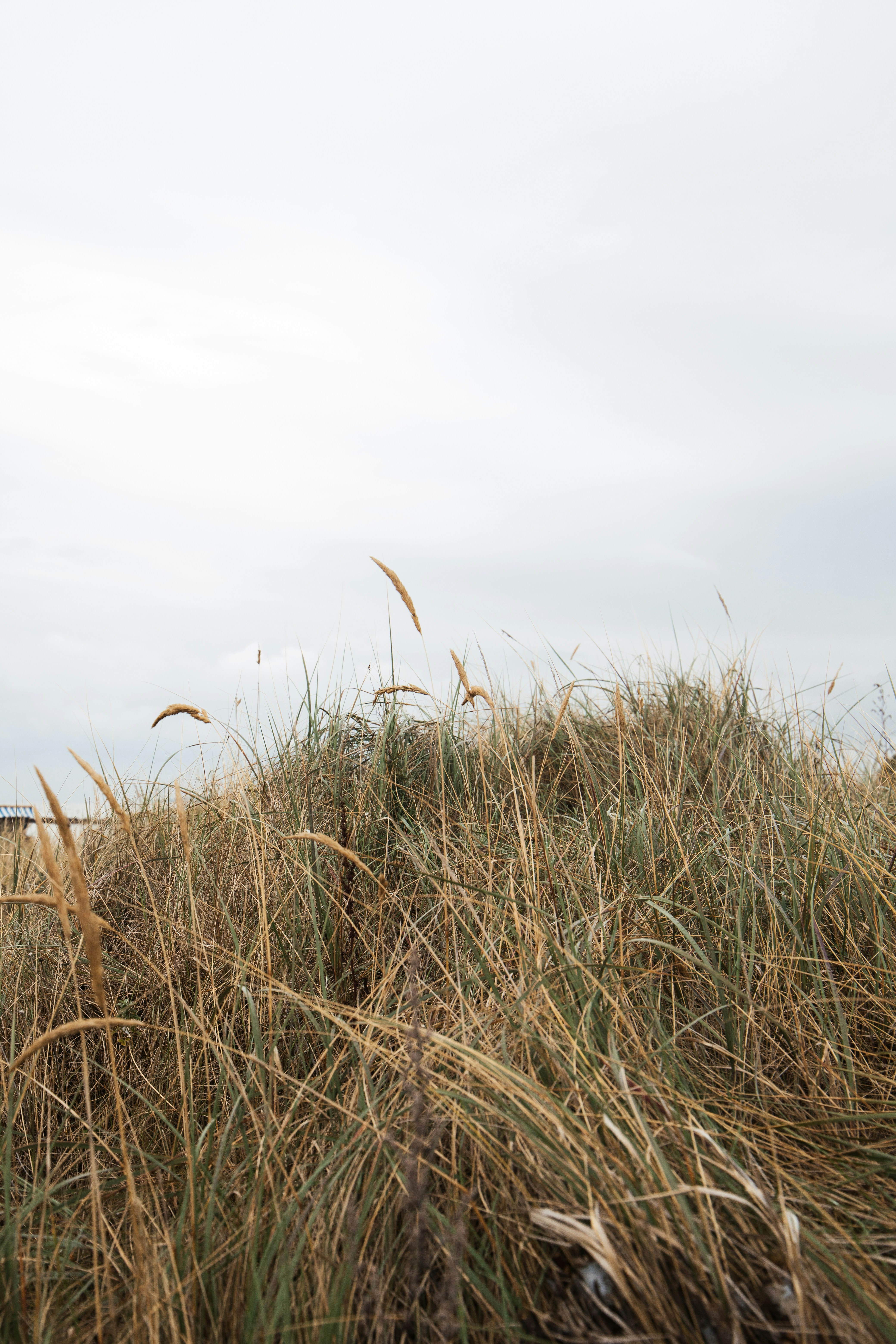 Photo by katharina_bill