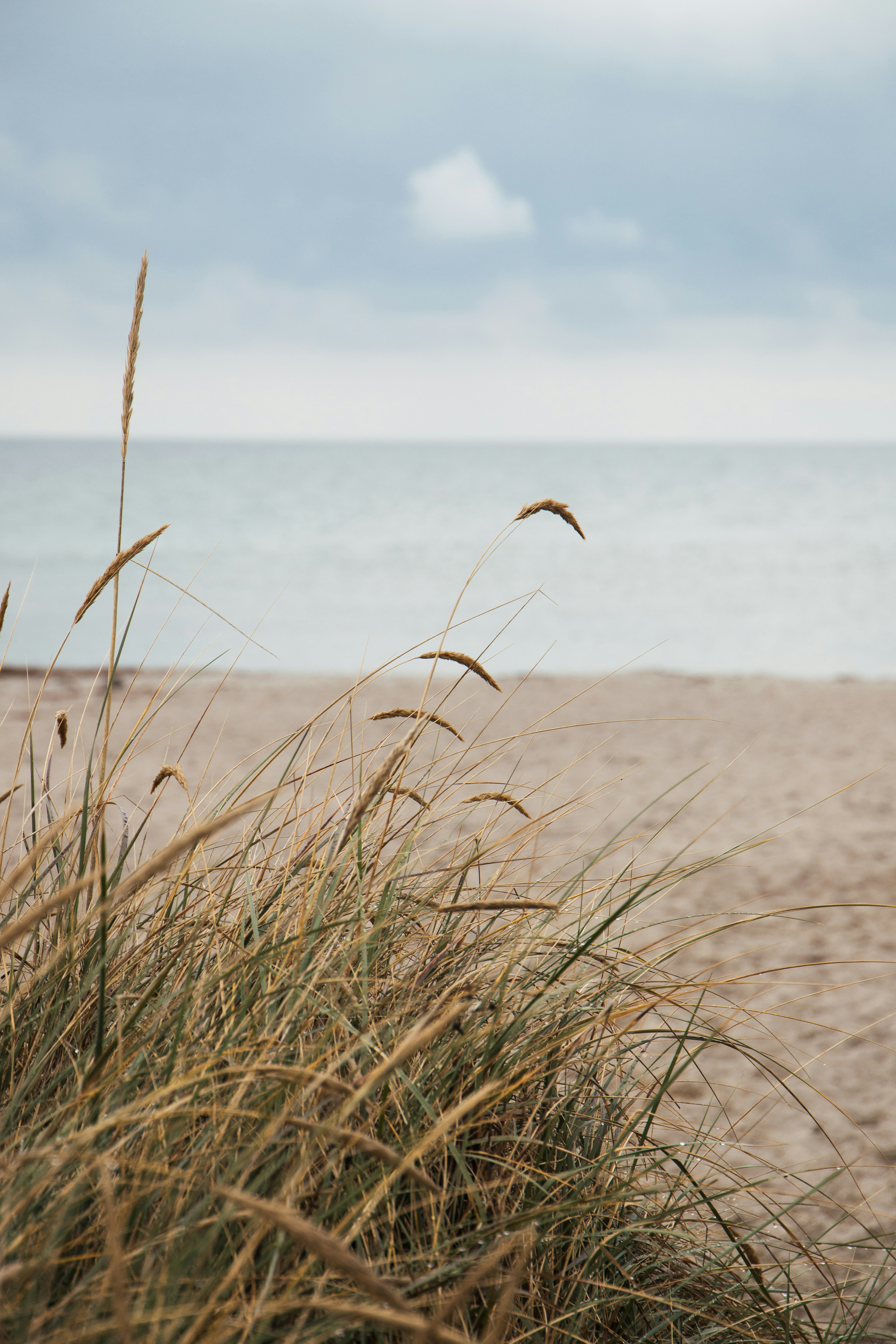 Photo by katharina_bill