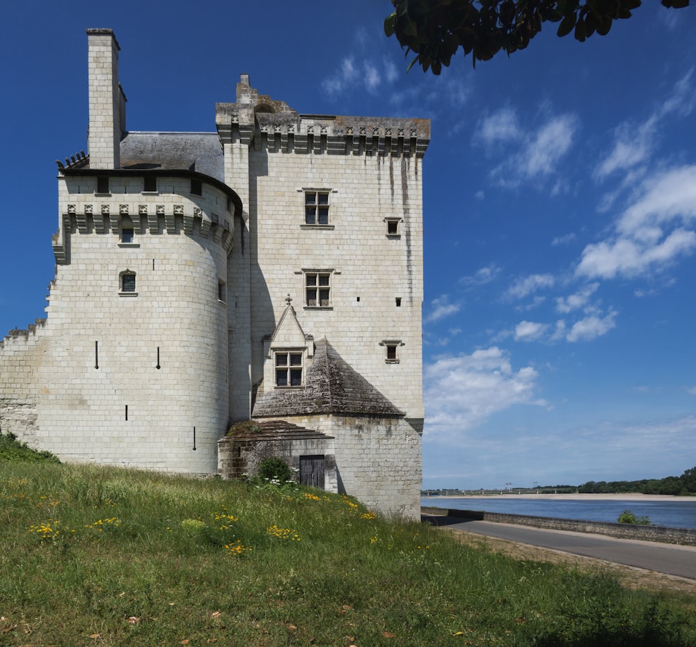 a castle on a hill