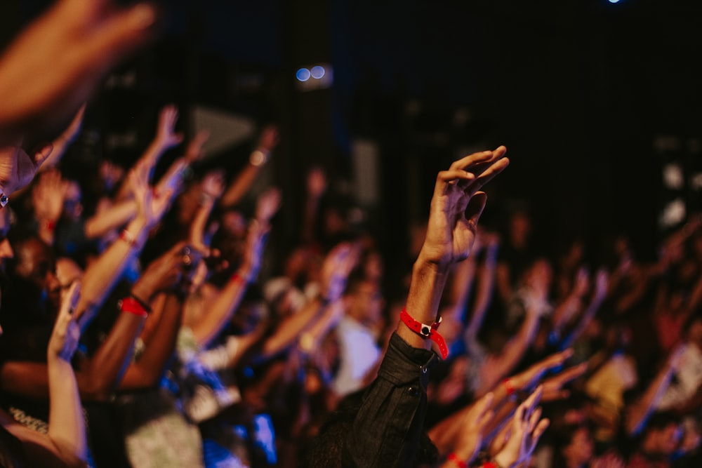 a crowd of people at a concert