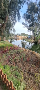 A serene landscape featuring a well-maintained fence surrounding a garden.