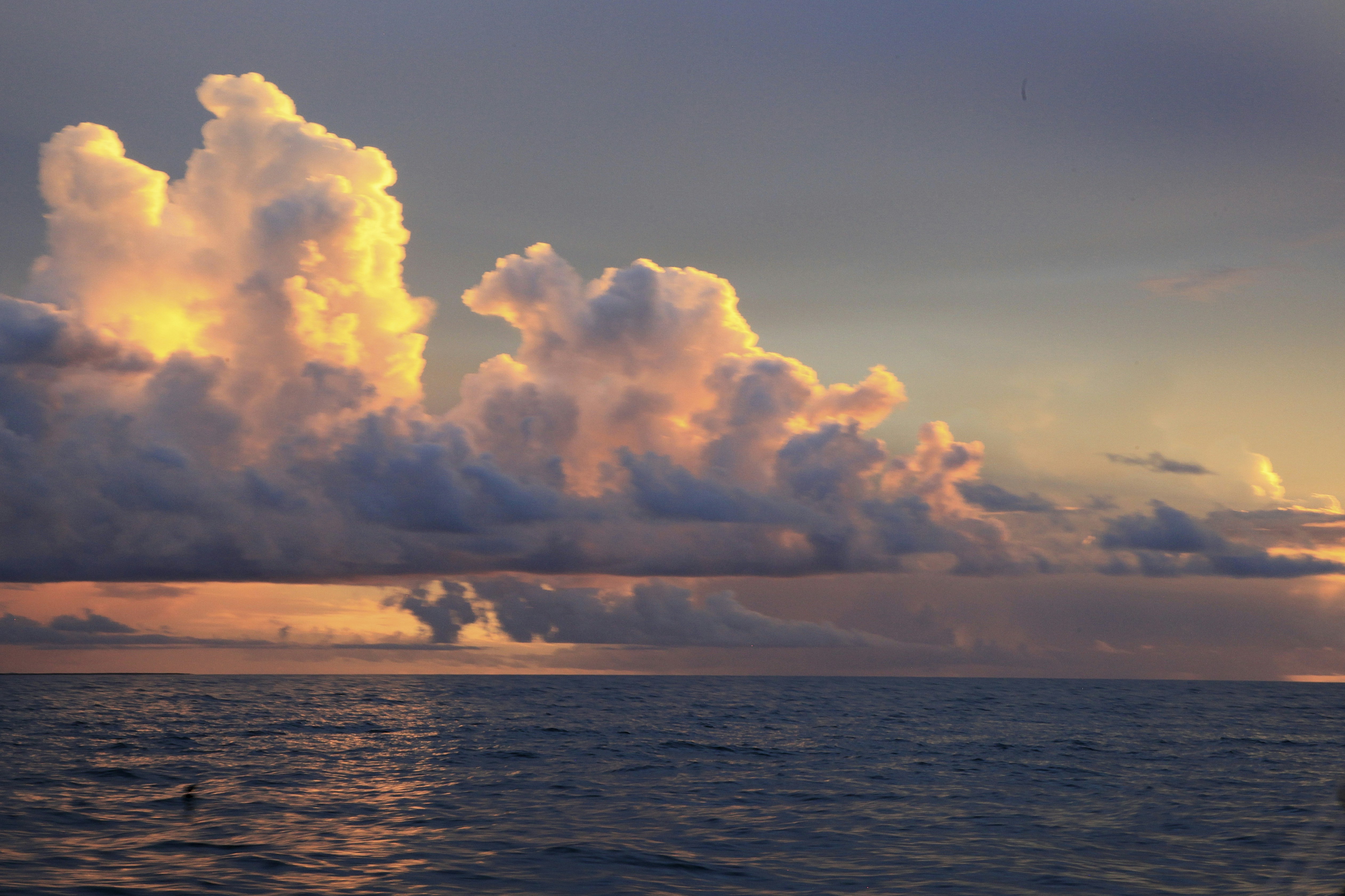 Photo by stewartphotography