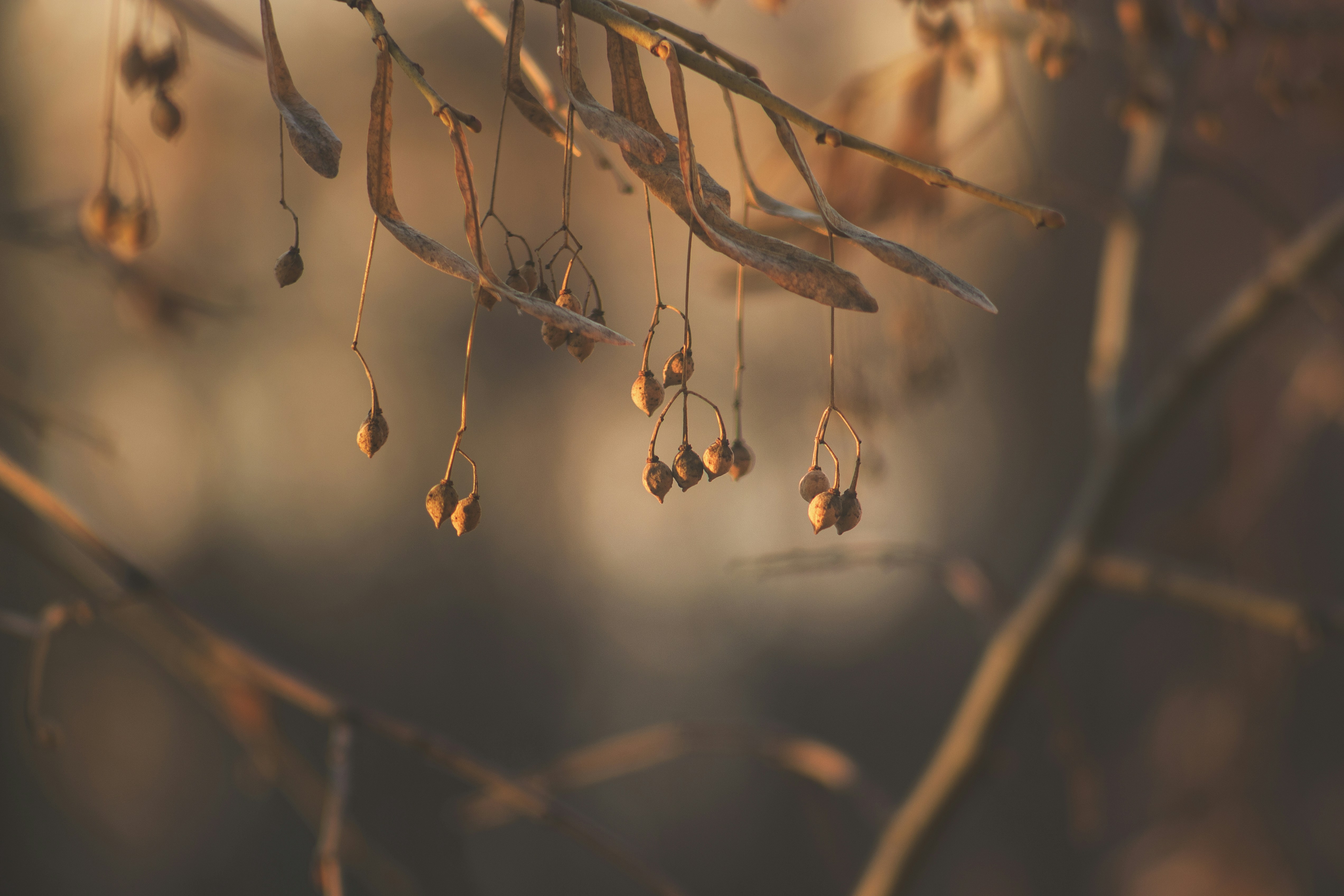 Photo by miloslopusina