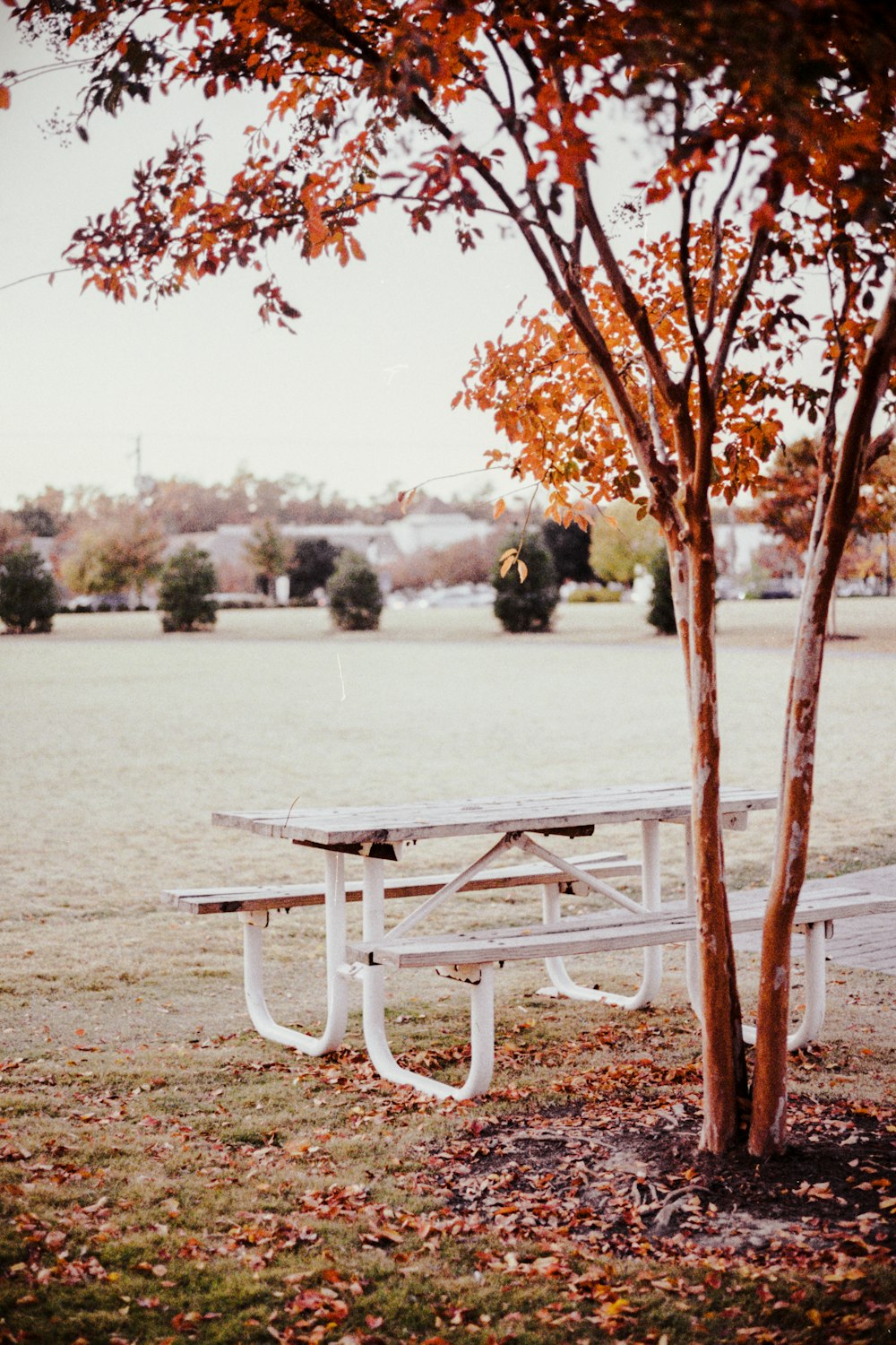 a table and chairs by a lake