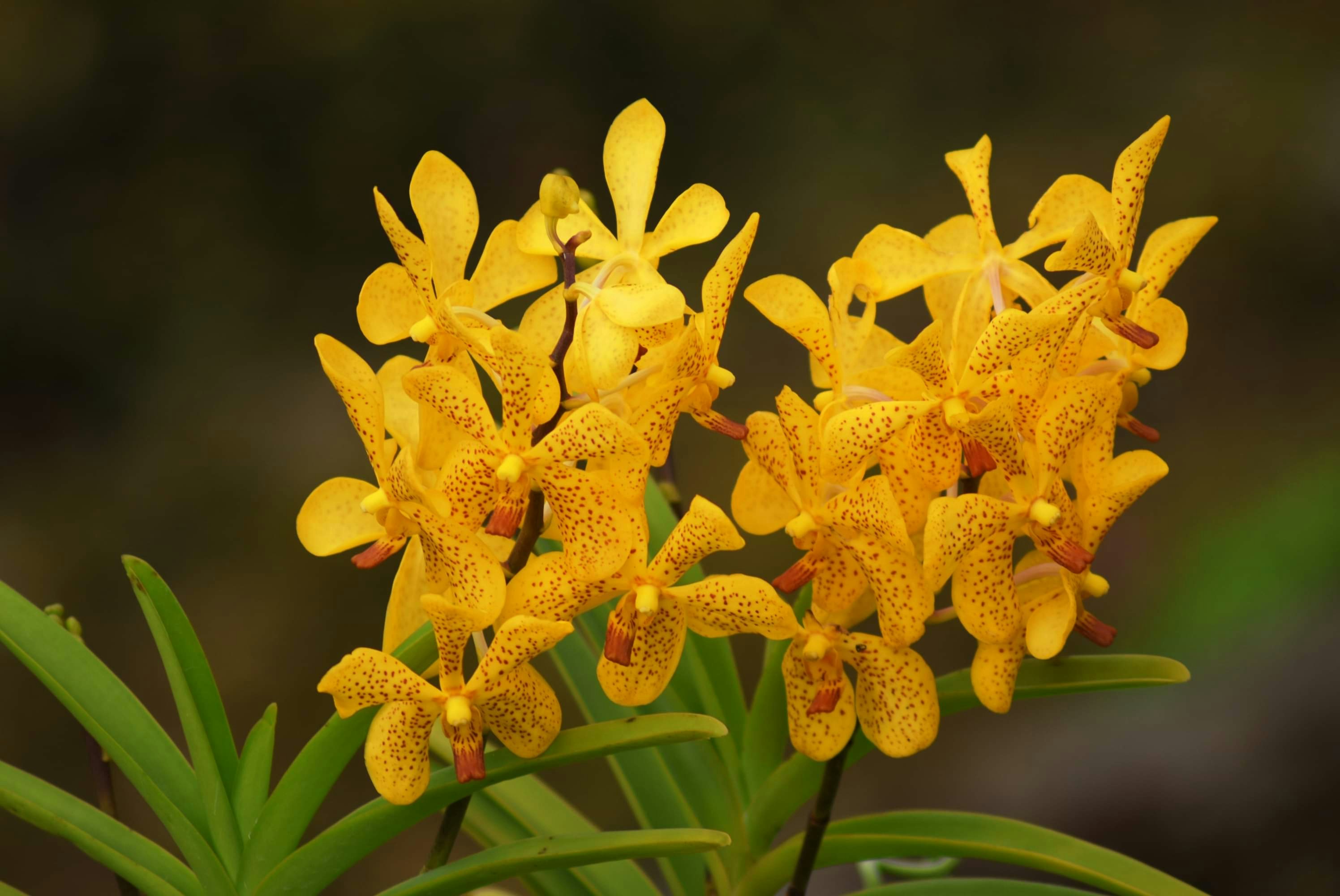 Photo by pierreellyse