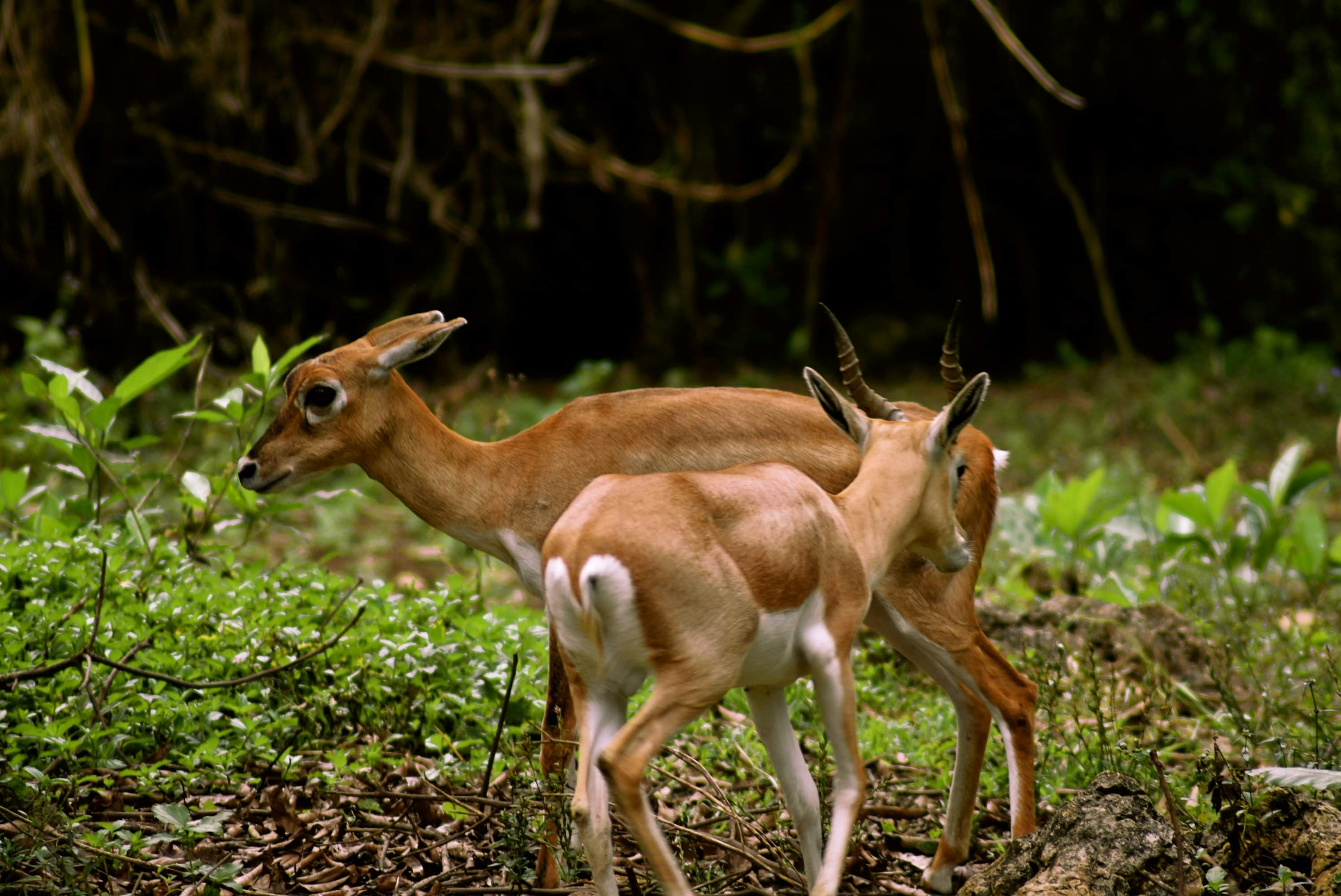 Photo by pierreellyse