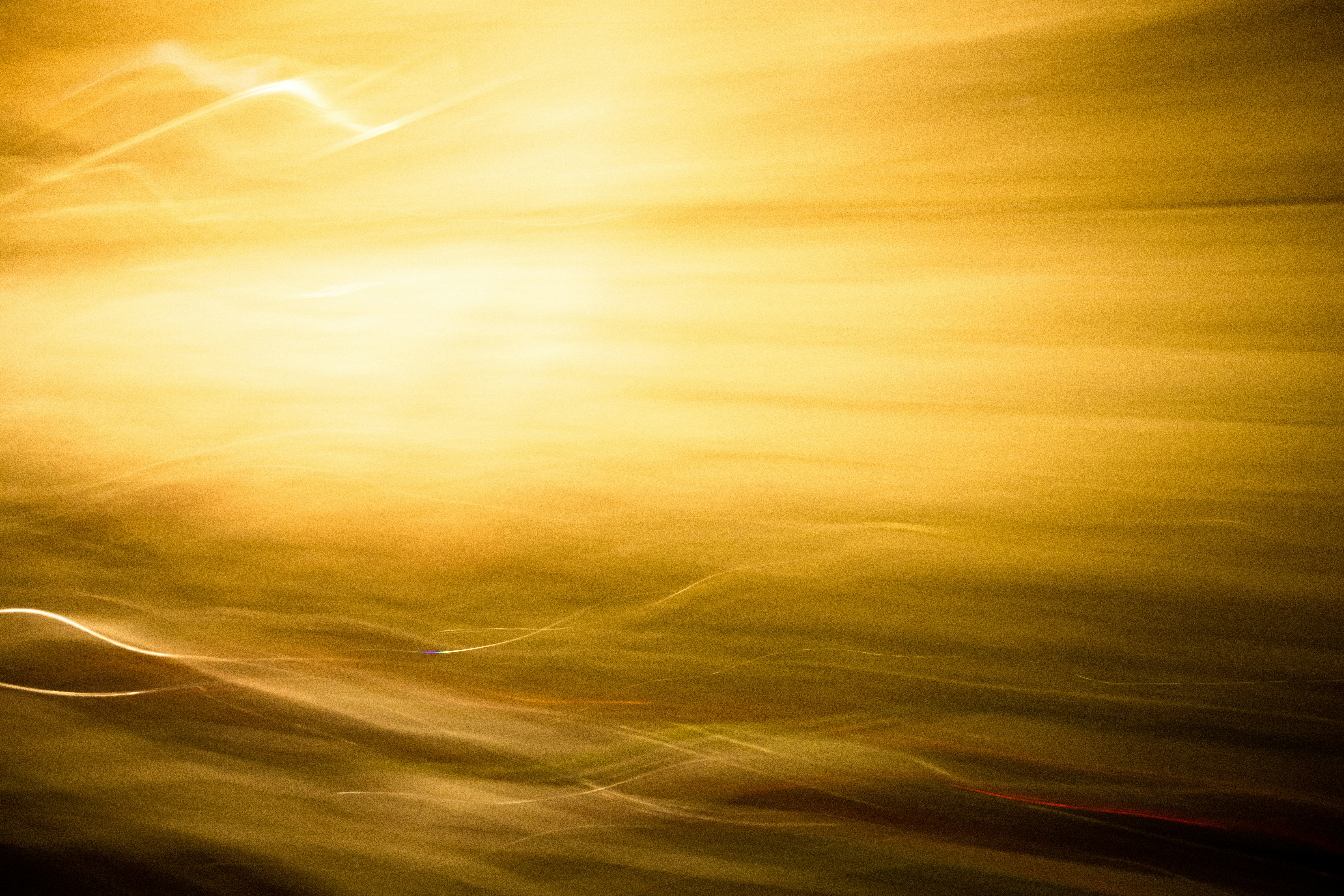 Photo by telun_photo