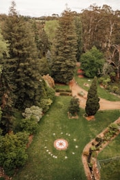 A lush green landscape featuring tall trees, a well-kept lawn, and a visible compass rose on the ground. Pathways meander through the greenery, with a few people strolling along the paths. The surrounding area is densely populated with different types of trees and shrubs.