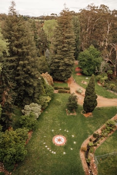 A lush green landscape featuring tall trees, a well-kept lawn, and a visible compass rose on the ground. Pathways meander through the greenery, with a few people strolling along the paths. The surrounding area is densely populated with different types of trees and shrubs.
