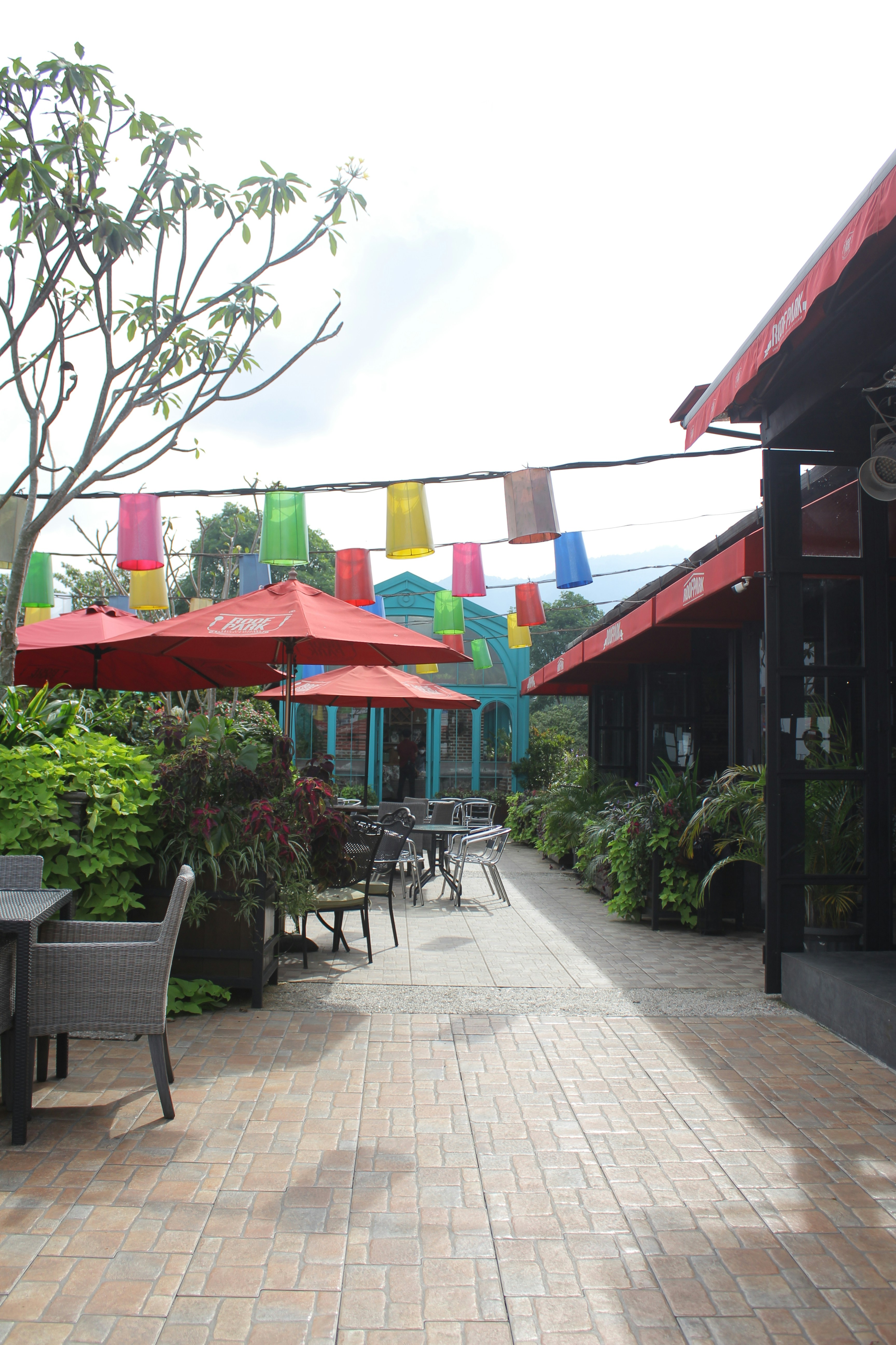 Photo by hariadihmdd