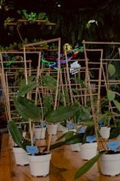 A bamboo multi-layer plant rack displaying various potted plants in a cozy garden corner.