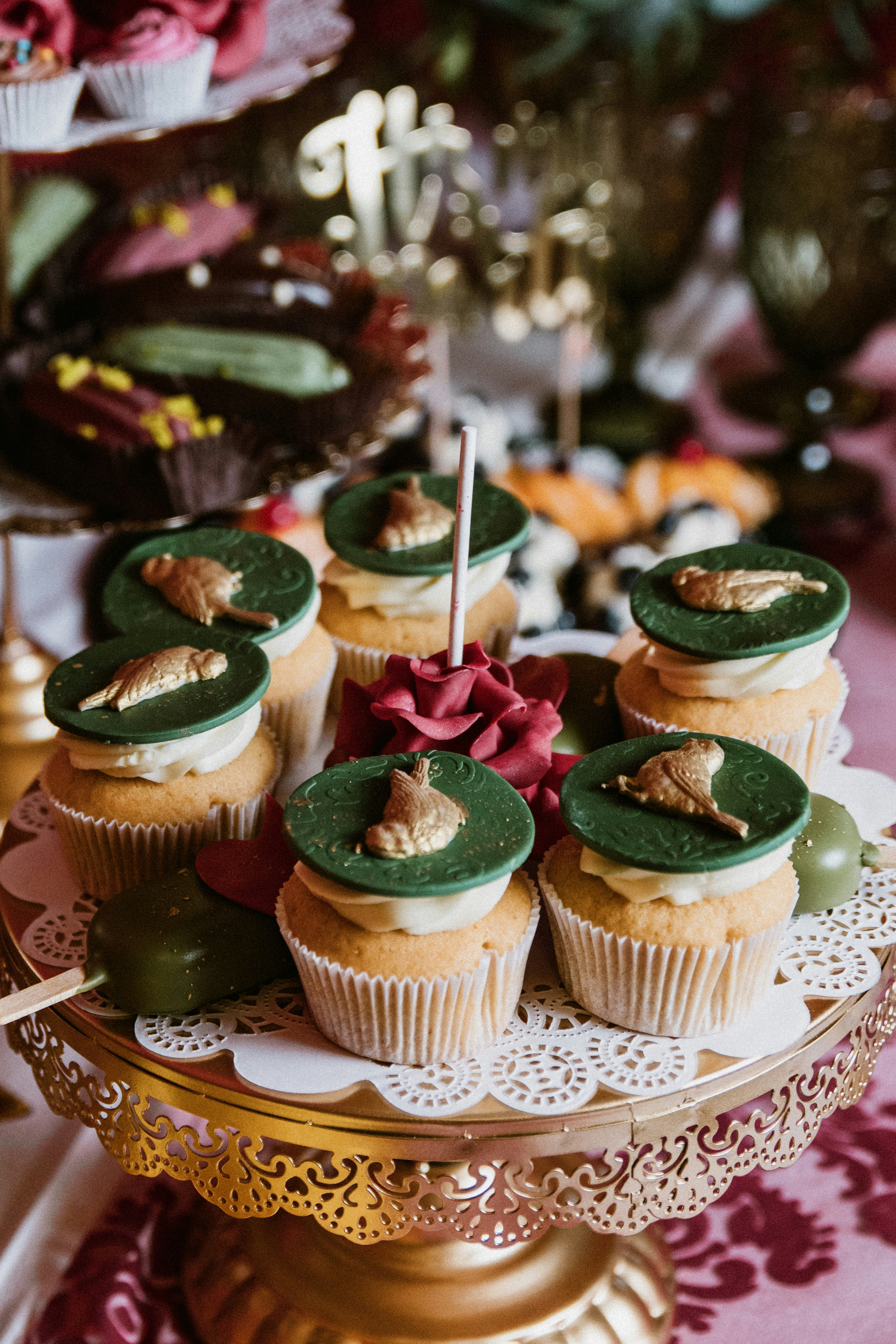 Photo by anitaaustvika