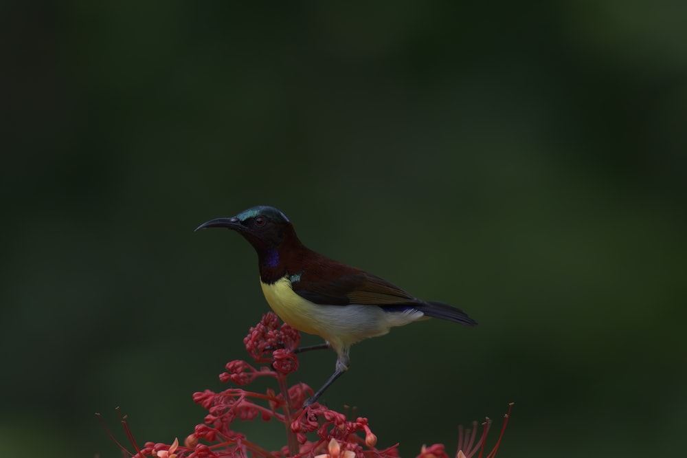 a bird perched on a flower