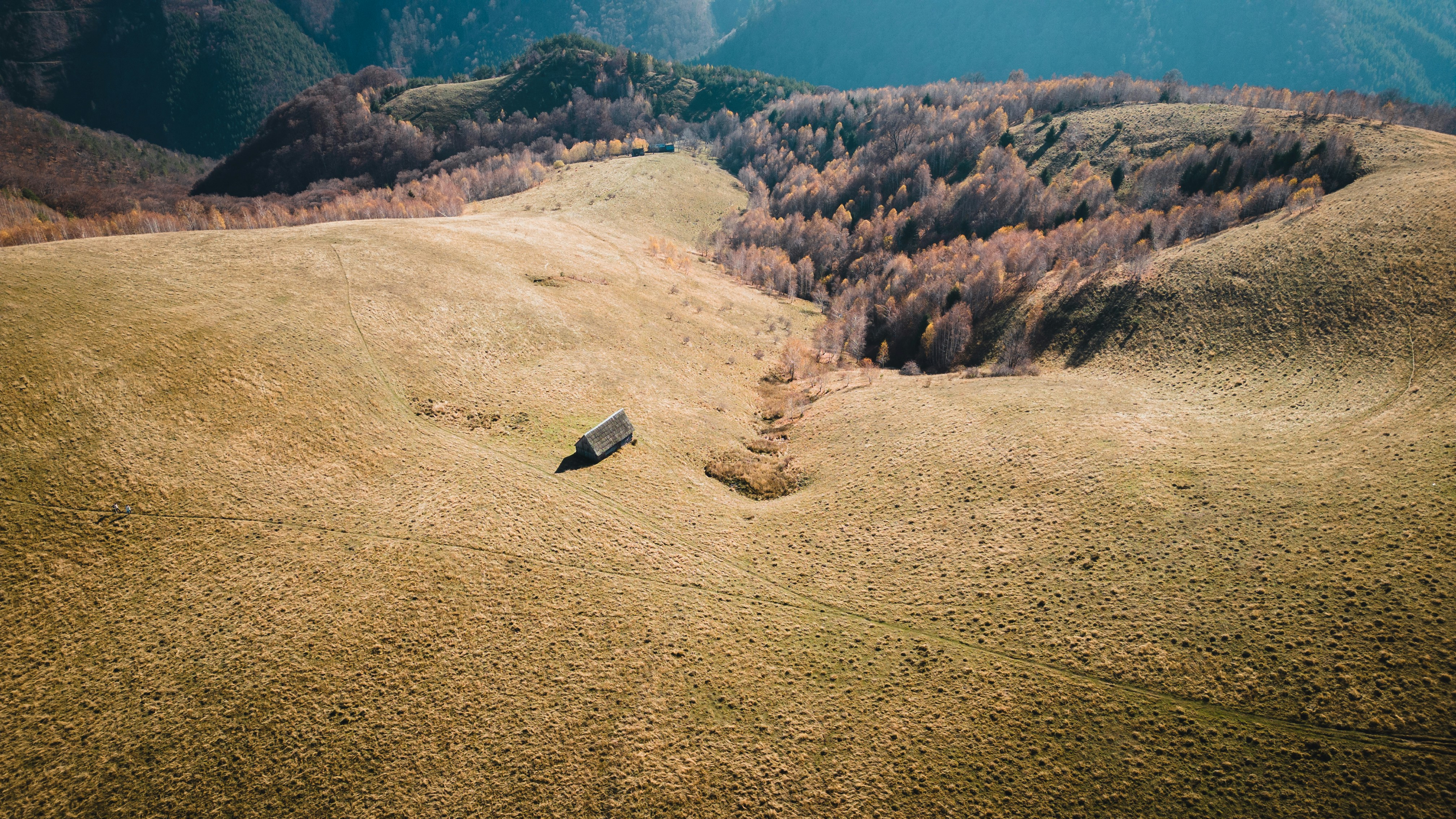 a dirt road in a dry landscape