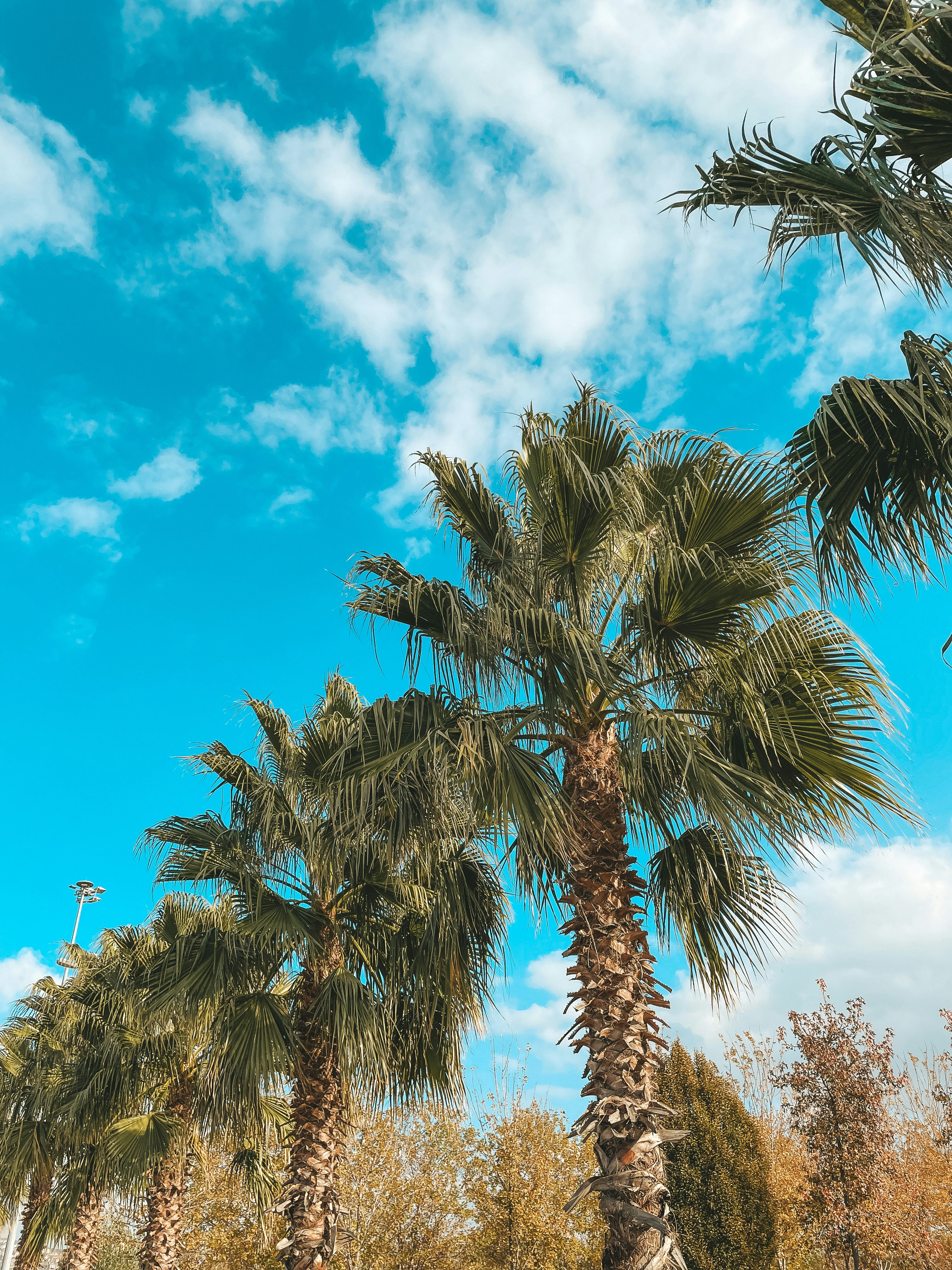 Photo by mertkahveci