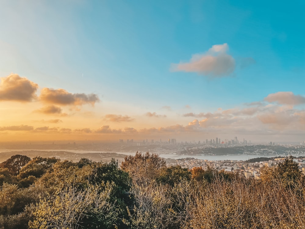 a landscape with trees and a city in the distance