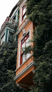 A vibrant orange building facade partially covered in lush green ivy, with large red-framed windows. A classical bust sculpture is mounted above the window, adding an artistic touch. The adjoining building features a green exterior with similar ornate architectural details.