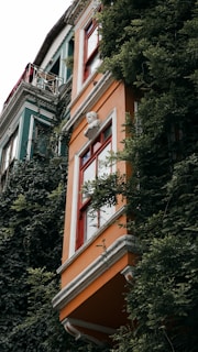 A vibrant orange building facade partially covered in lush green ivy, with large red-framed windows. A classical bust sculpture is mounted above the window, adding an artistic touch. The adjoining building features a green exterior with similar ornate architectural details.