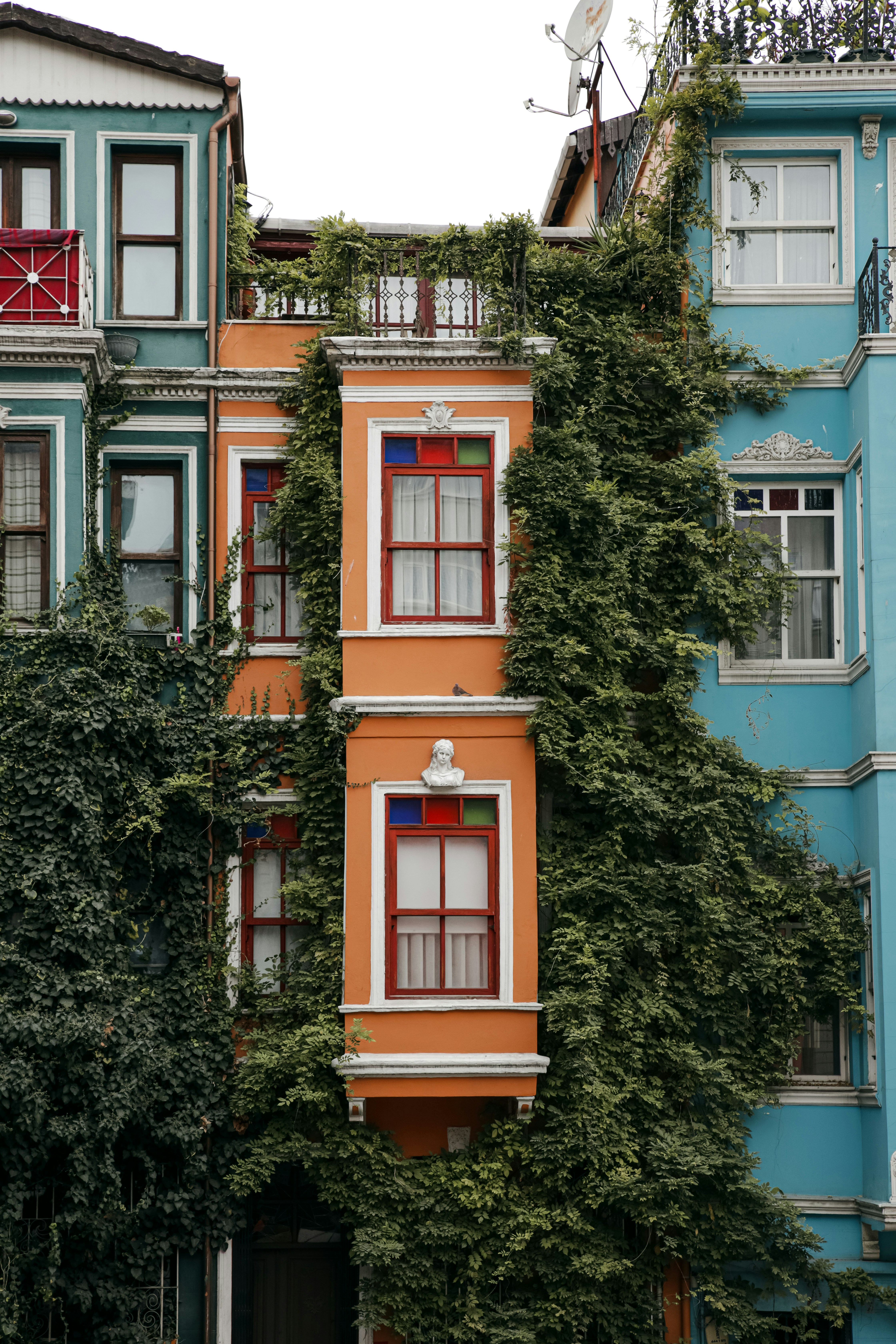 a row of houses with ivy on the walls balat, istambul