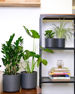 Plant Pot Set