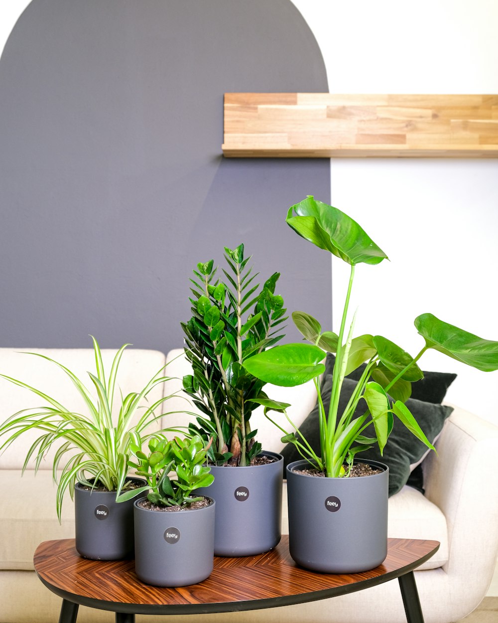 un gruppo di piante in vaso su un tavolo