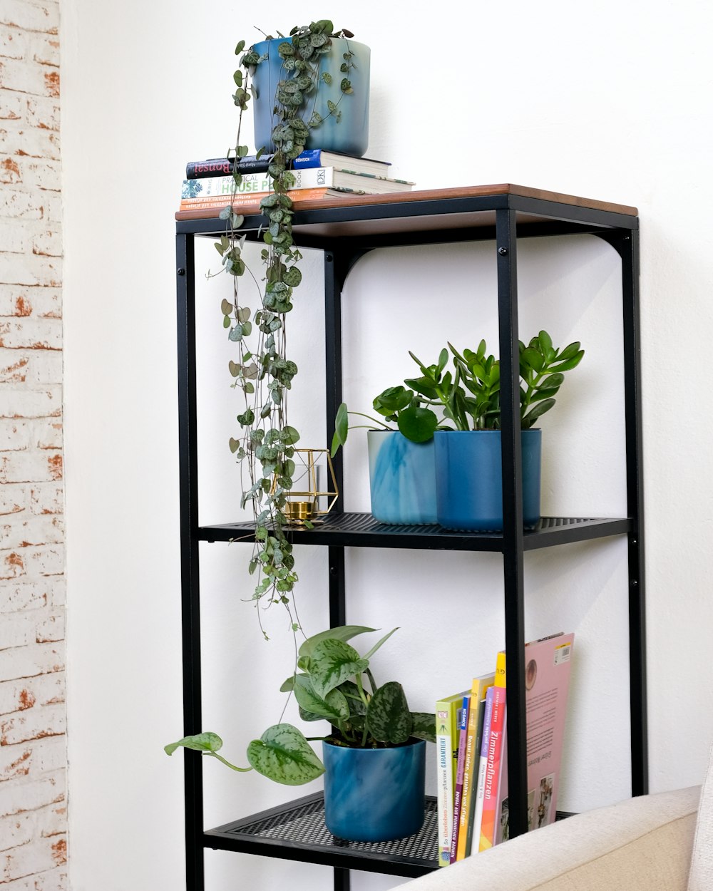 a shelf with plants on it