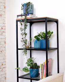 A black metal shelf with a wooden top holds several potted plants in blue containers. A trailing plant cascades down from the top shelf beside a stack of books. More books are neatly arranged on the lower shelves, along with various green plants that add a touch of nature to the setting. The background features a white wall with exposed brick on the side, adding a rustic element to the room.