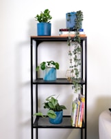 Shelving unit blending charcoal grey metal frame with natural wood shelves adorned with small potted plants.
