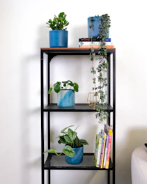 Slim, narrow shelving units neatly holding books and small plants in a bright living space.
