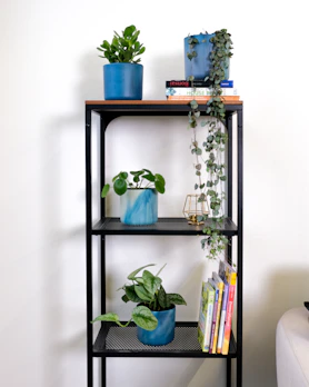 A slim iron corner stand holding a small potted plant and books.