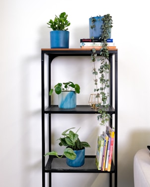 Shelving unit blending charcoal grey metal frame with natural wood shelves adorned with small potted plants.