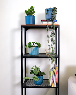 A sturdy black metal frame bookshelf holding a mix of books and decorative plants.