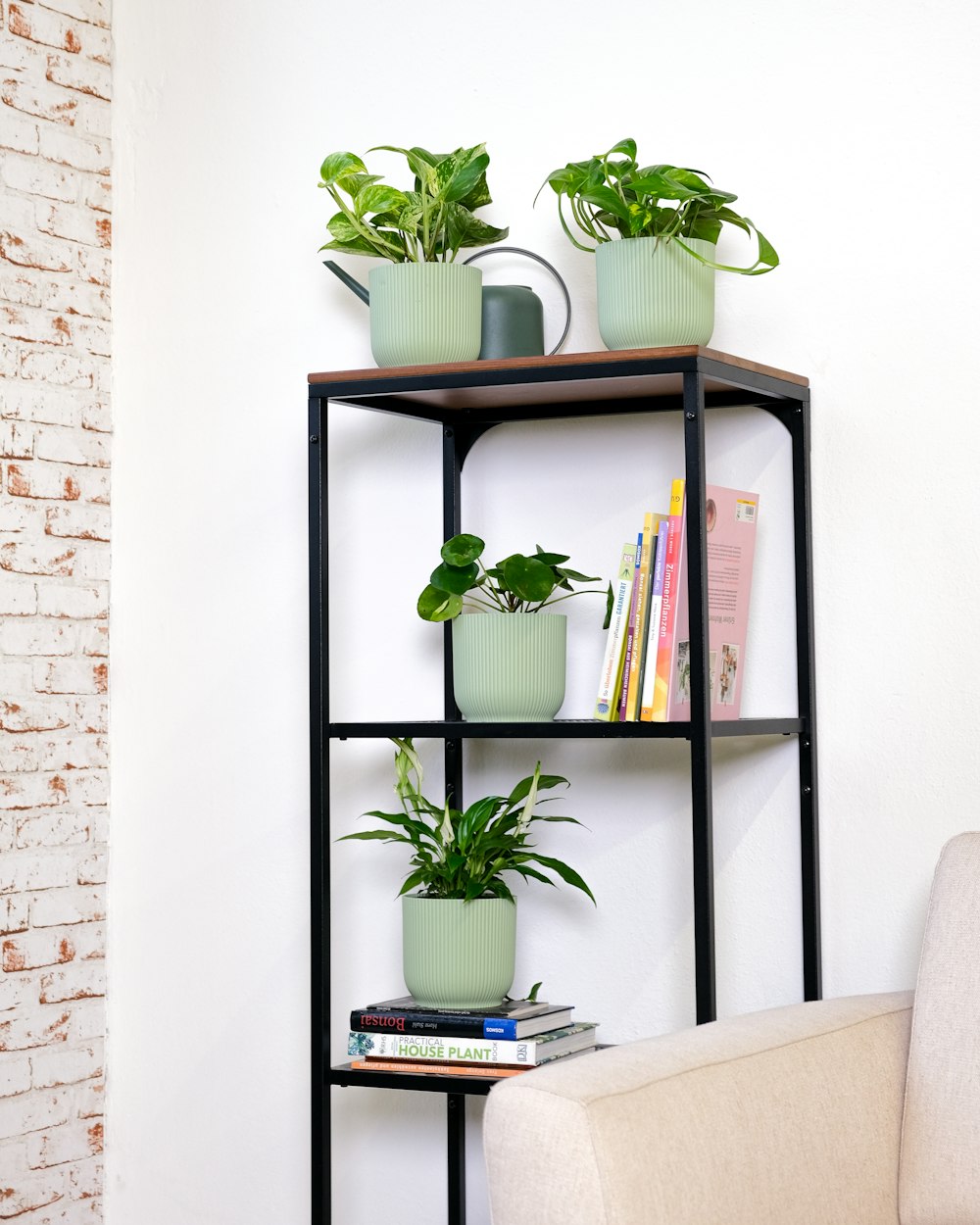 a shelf with plants on it