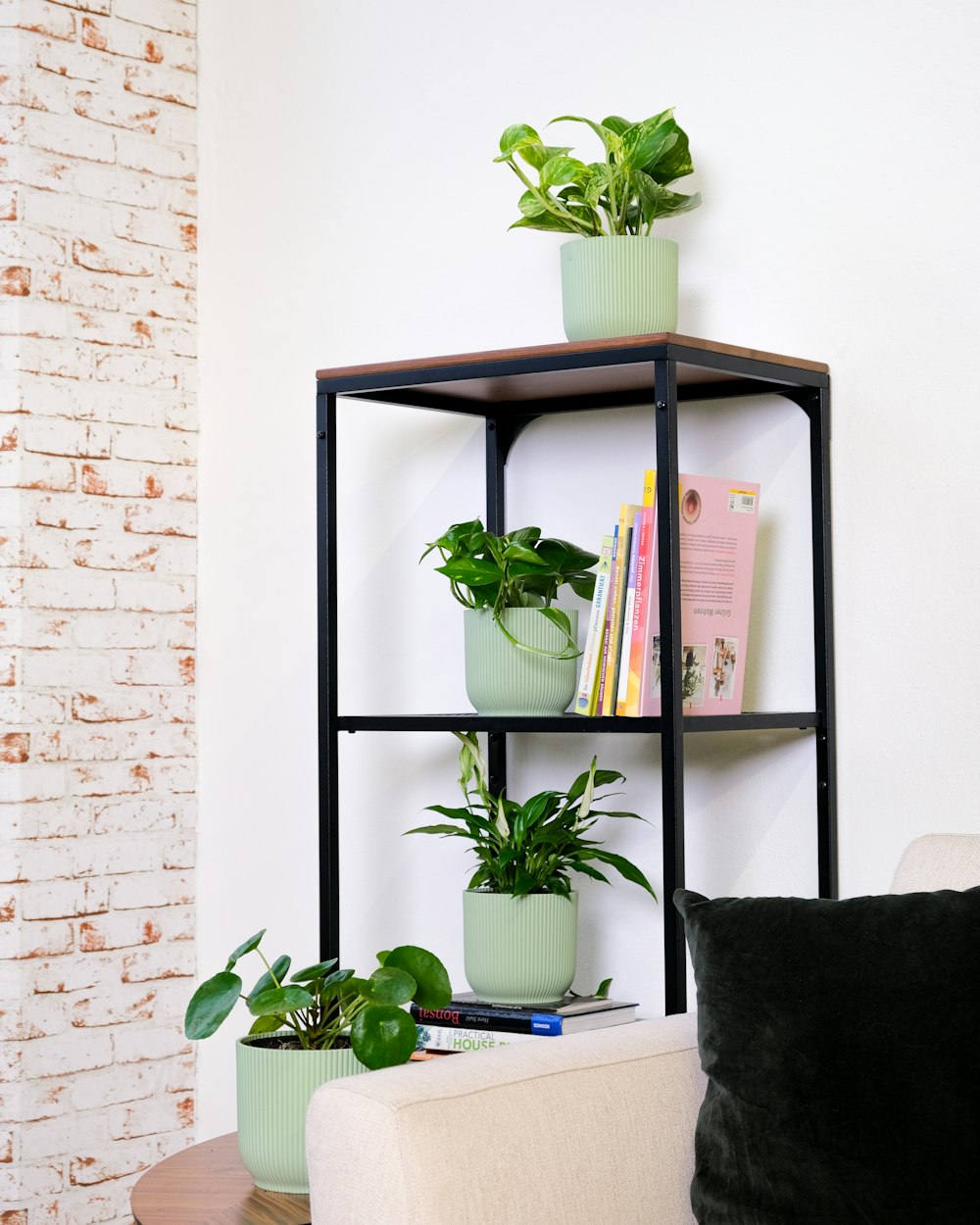 a shelf with plants and books on it
