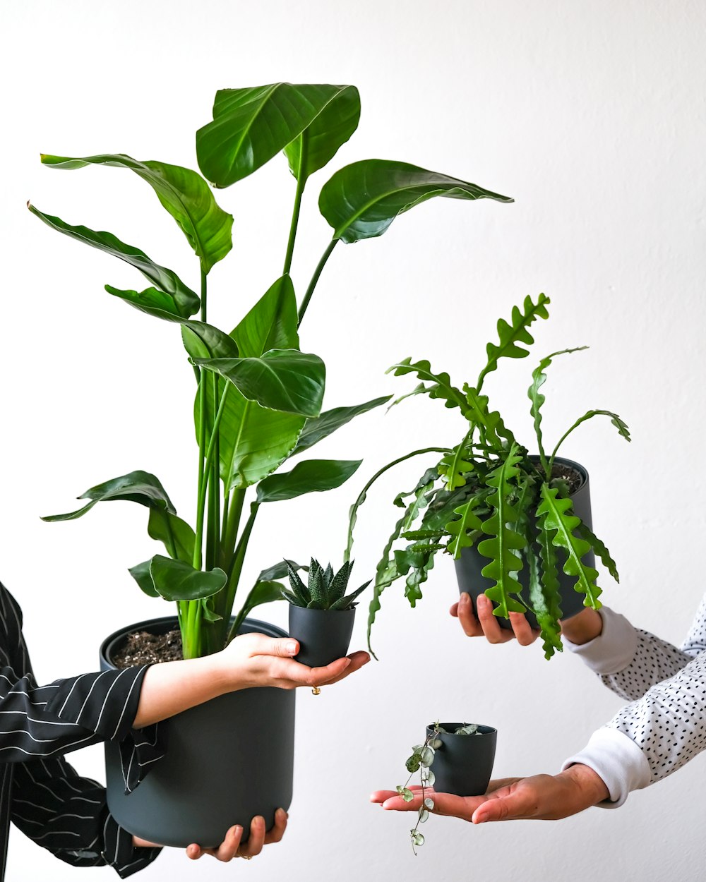 a group of people holding plants