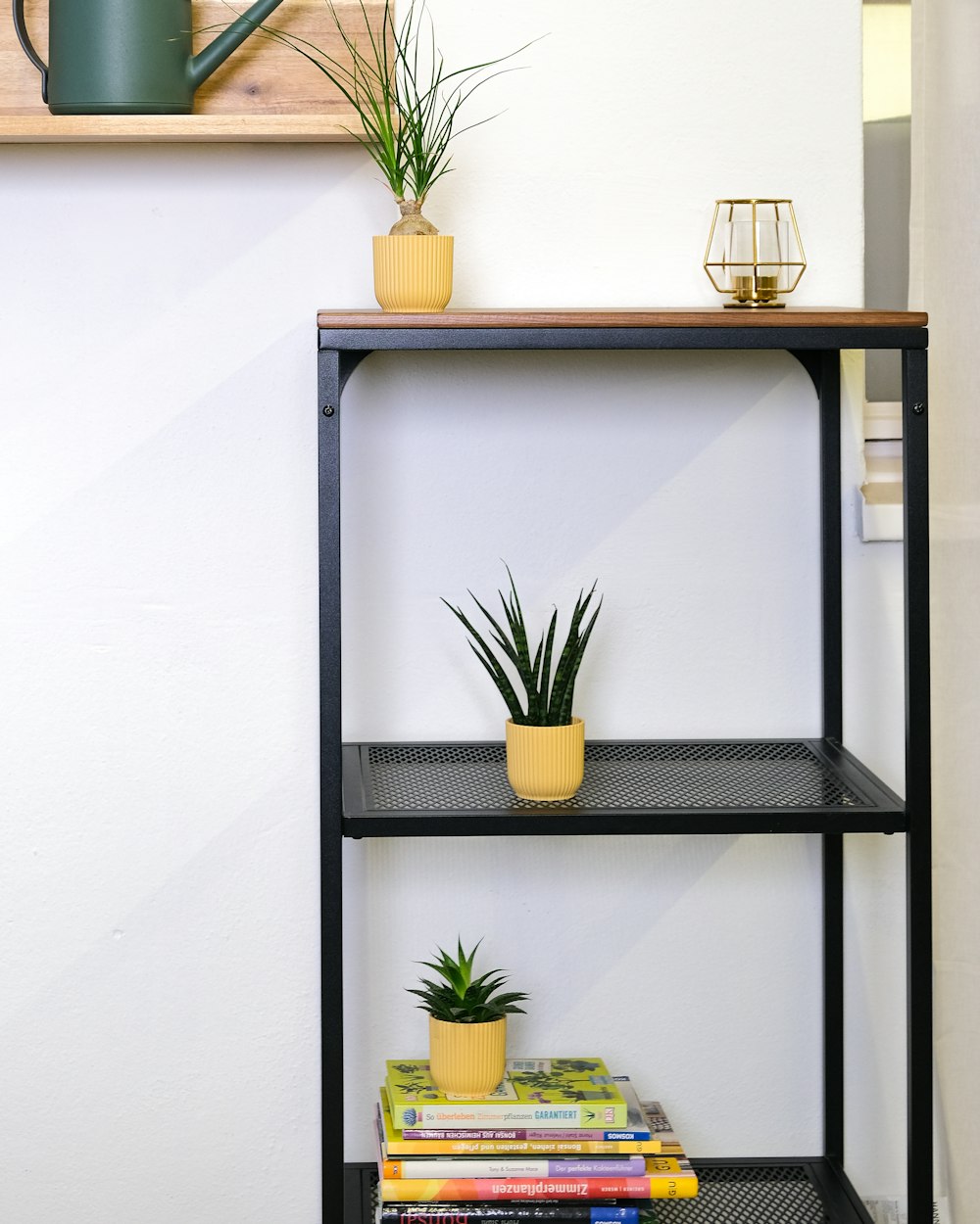 a shelf with books and plants on it