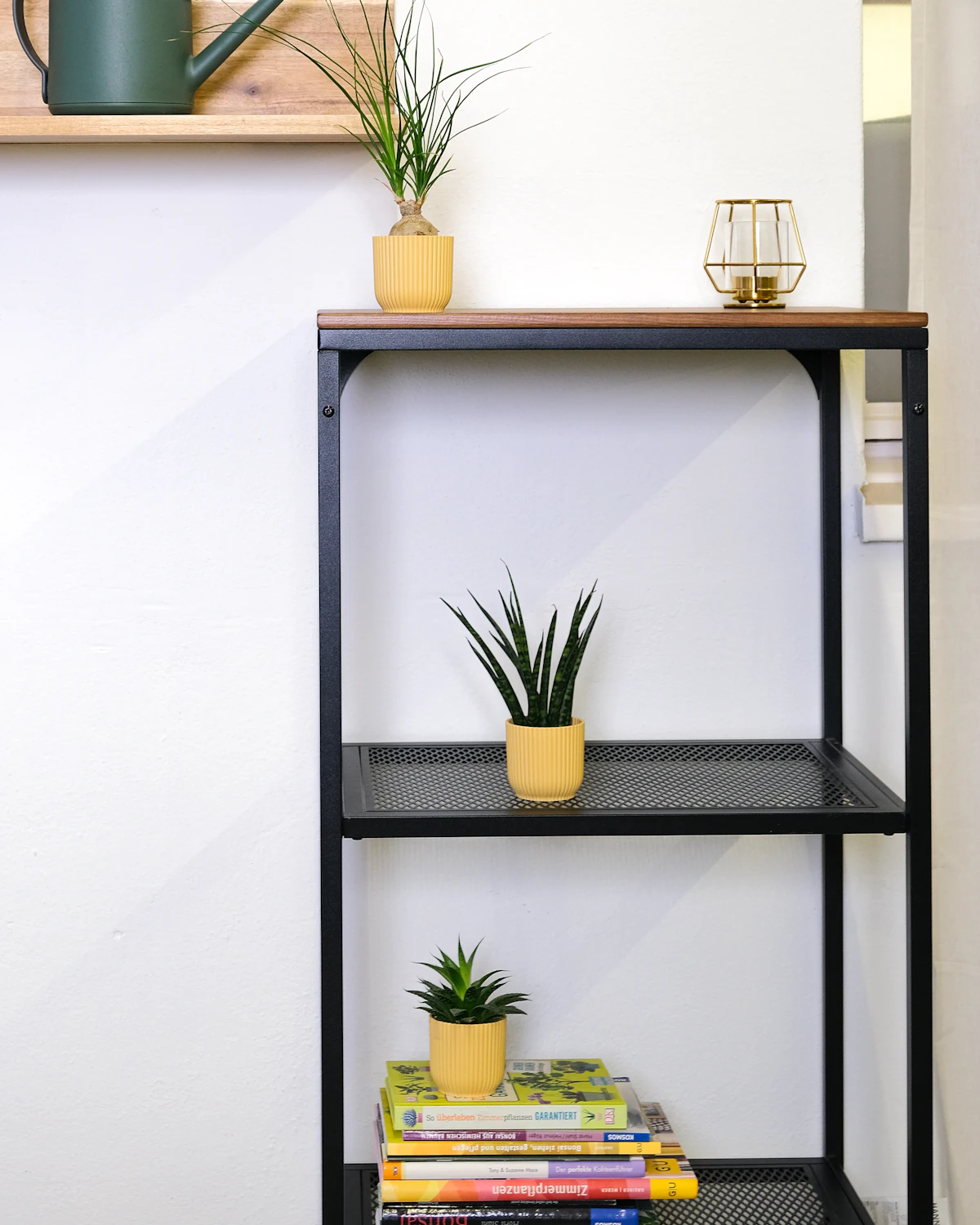 Small styled shelf with books and a plant in a rented lounge