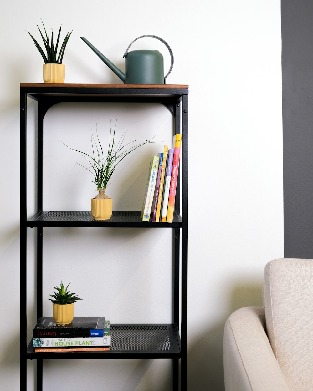 a black shelving unit with books and plants